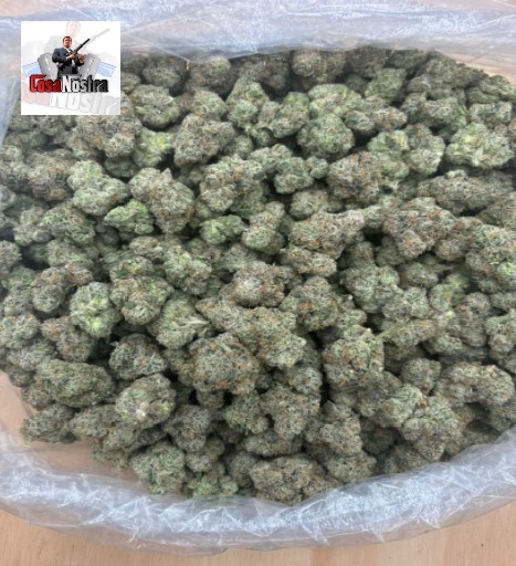 Buy AK-47 Strain Online