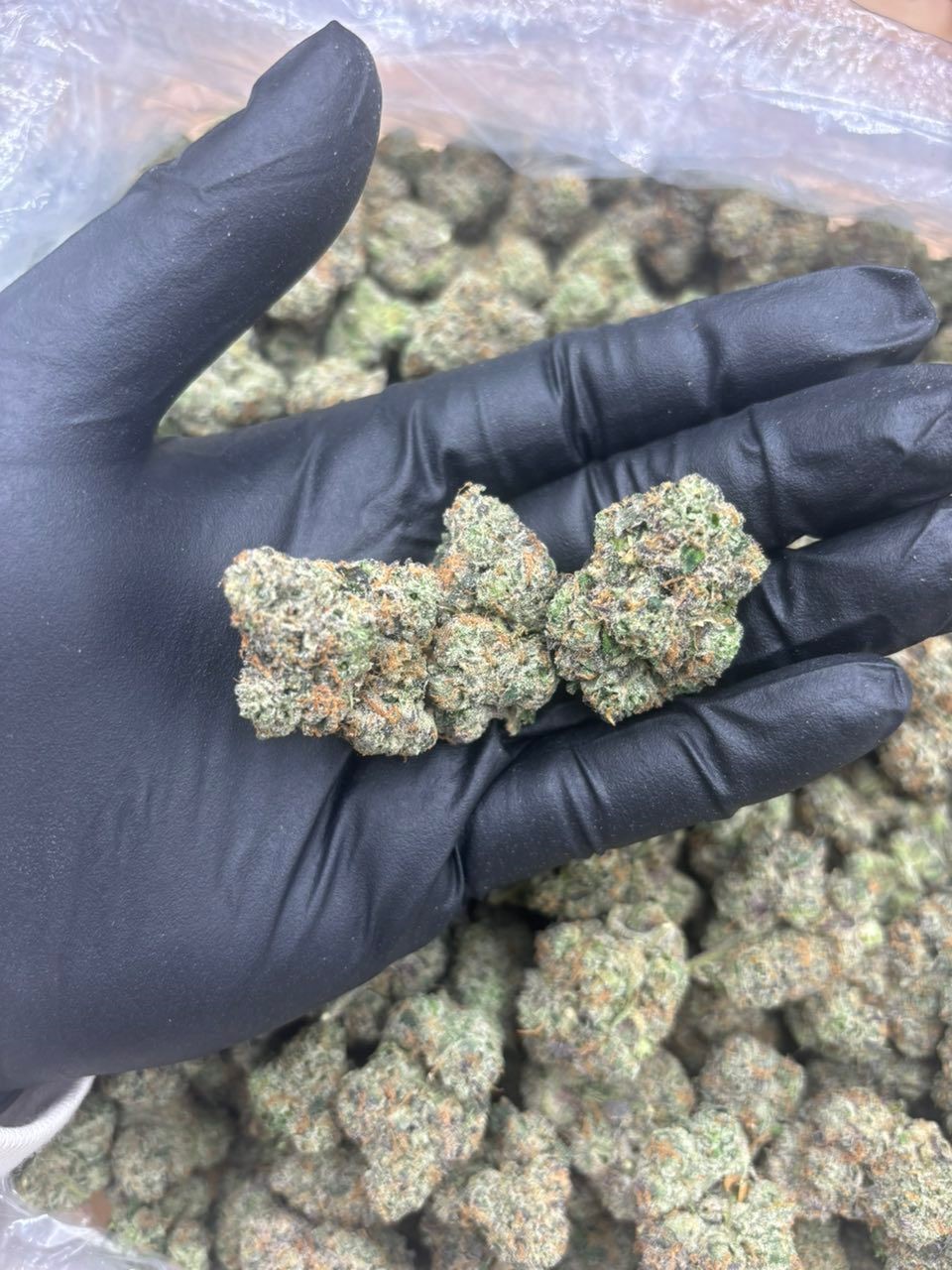Buy AK-47 Weed Strain Online