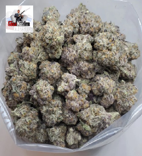 Buy Frozen Grapes Strain Online